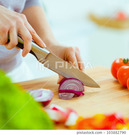 Closeup on woman cutting onion Closeup on woman cutting onion 103882790