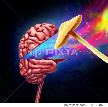 Psychedelic Drugs Psychedelic Drugs 103883073
