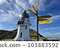 雷因格角燈塔 103883592