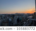 城市日落 103883772