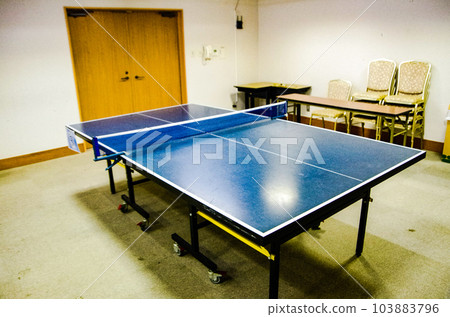 在溫泉旅館打乒乓球 103883796