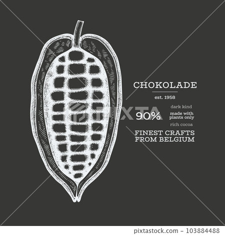 Cocoa illustration. Chocolate cocoa beans background. Vector hand drawn illustration on chalk board. Vintage style illustration. Cocoa illustration. Chocolate cocoa beans background. Vector hand drawn illustration on chalk board. Vintage style illustration. 103884488
