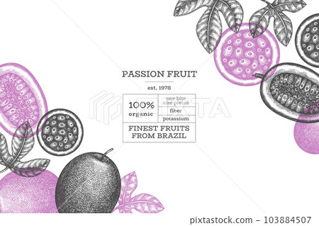 Hand drawn sketch style passion fruit banner. Organic fresh fruit vector illustration. Retro exotic fruit design template 103884507