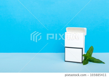 Pack of menthol cigarettes and fresh mint on colored table, Menthol cigarettes top view flat lay 103885411
