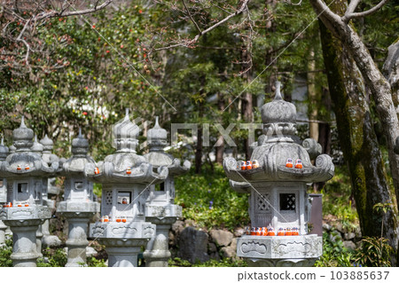 mini Daruma doll over japanese old lamp in Katsuoji Temple mini Daruma doll over japanese old lamp in Katsuoji Temple 103885637