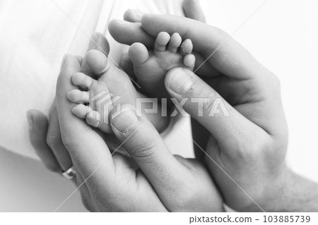 The palms of the father, the mother are holding the foot of the newborn baby on white background. Feet of the newborn on the palms of the parents. Photography of a child's toes, heels and feet. 103885739