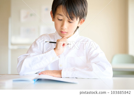 Elementary school boy studying 103885842