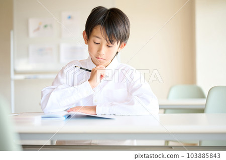 Elementary school boy studying Elementary school boy studying 103885843