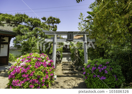 Kakogawa Onoe Shrine Ippon Inari Shrine Kakogawa City, Hyogo Prefecture Kakogawa Onoe Shrine Ippon Inari Shrine Kakogawa City, Hyogo Prefecture 103886326