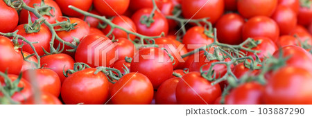 Ripe red cherry tomatoes with green leaves on market Ripe red cherry tomatoes with green leaves on market 103887290