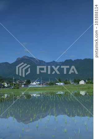 Hakushu Town, Hokuto City, Southern Alps Kaikoma mountain range reflected in rice-planted rice fields Hakushu Town, Hokuto City, Southern Alps Kaikoma mountain range reflected in rice-planted rice fields 103888114