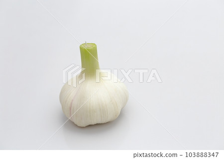 新鮮大蒜 新鮮大蒜 103888347