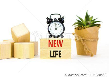 New life symbol. Concept words New life on wooden blocks on a beautiful white background. Black alarm clock. Business, support, motivation, psychological and new life concept. Copy space. New life symbol. Concept words New life on wooden blocks on a beautiful white background. Black alarm clock. Business, support, motivation, psychological and new life concept. Copy space. 103888559