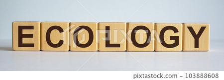 Ecology words concept on wooden blocks. White background. Ecology words concept on wooden blocks. White background. 103888608