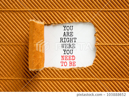 You are right were you need to be symbol. Concept words You are right were you need to be on white paper on a beautiful brown background. Business motivational you need to be concept. Copy space 103888652