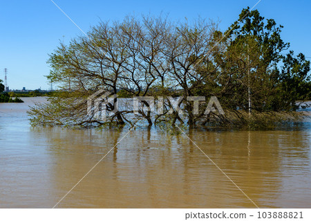 2019年東日本颱風暴雨淹沒荒川和西湖土滿綠地公園 2019年東日本颱風暴雨淹沒荒川和西湖土滿綠地公園 103888821