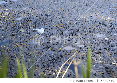 Dirty water. Environmental disaster, the river is littered with plastic bottles and polyethylene, motor oil 103889739