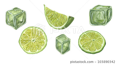 Watercolor set of Lime slices, green Ice Cubes isolated on white background. Botanical illustration for menu, celebration design, cocktail party, flyer, posters Watercolor set of Lime slices, green Ice Cubes isolated on white background. Botanical illustration for menu, celebration design, cocktail party, flyer, posters 103890342