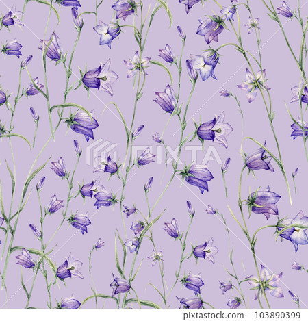 Seamless pattern watercolor summer flowers. Scilla. Campanula patula, little bell, bluebell, rapunzel, harebell. Illustration of delicate lilac flowers. forest flowers bellflower 103890399