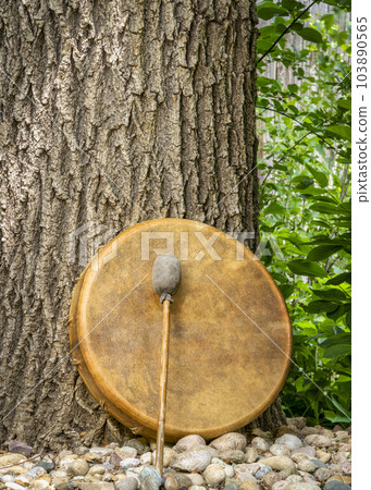 handmade, native American style, shaman frame drum covered by goat skin with a beater under an oak tree handmade, native American style, shaman frame drum covered by goat skin with a beater under an oak tree 103890565