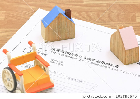 Picture of Public Assistance Act