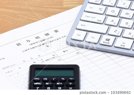 image of pay slip 103890692