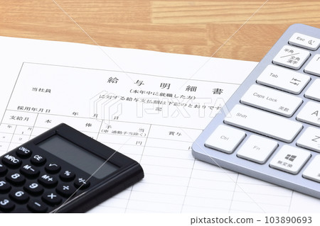 image of pay slip image of pay slip 103890693