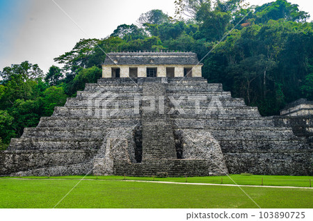 Maya Ruins in Palenque Maya Ruins in Palenque 103890725