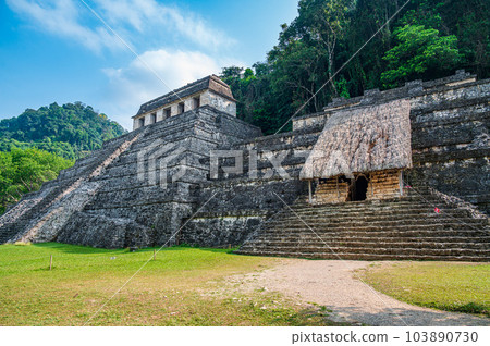 Maya Ruins in Palenque Maya Ruins in Palenque 103890730