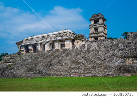 Maya Ruins in Palenque Maya Ruins in Palenque 103890733