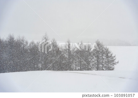 Hokkaido's snowy winter scenery Hokkaido's snowy winter scenery 103891057