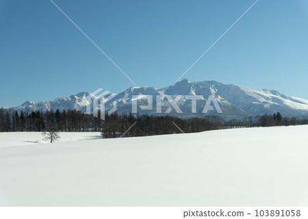 Hokkaido's snowy winter scenery Hokkaido's snowy winter scenery 103891058
