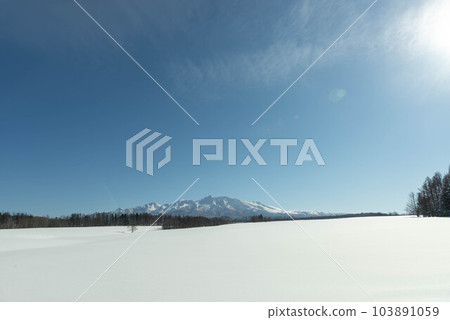 Hokkaido's snowy winter scenery Hokkaido's snowy winter scenery 103891059