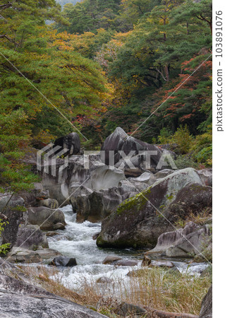 Fuji Stone of Shosenkyo Gorge 103891076