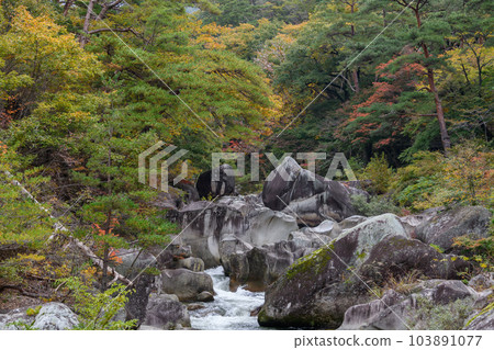 Fuji Stone of Shosenkyo Gorge Fuji Stone of Shosenkyo Gorge 103891077