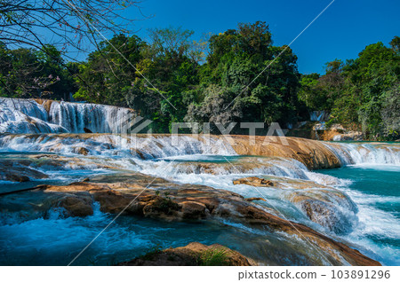 Agua Azul Waterfalls in Chiapas Agua Azul Waterfalls in Chiapas 103891296