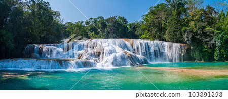 Agua Azul Waterfalls in Chiapas 103891298