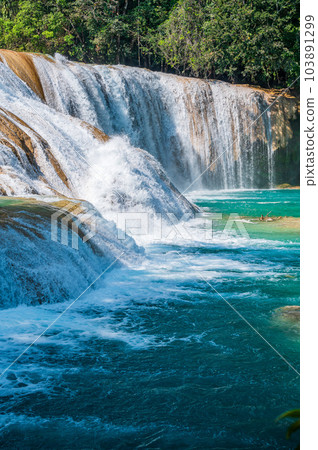 Agua Azul Waterfalls in Chiapas 103891299