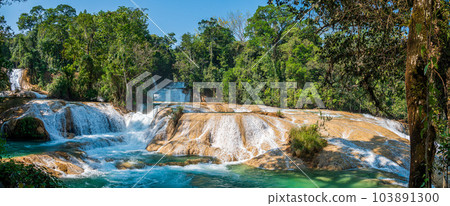 Agua Azul Waterfalls in Chiapas Agua Azul Waterfalls in Chiapas 103891300