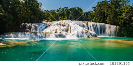 Agua Azul Waterfalls in Chiapas 103891305