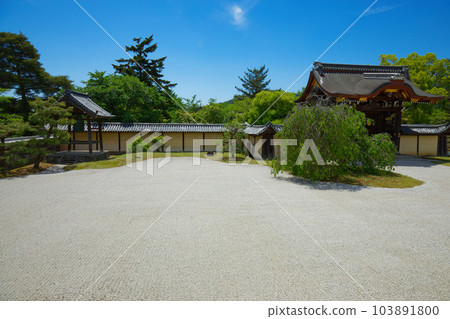 Daikaku-ji Temple:新綠葉和綠楓葉的嫩葉 Daikaku-ji Temple:新綠葉和綠楓葉的嫩葉 103891800