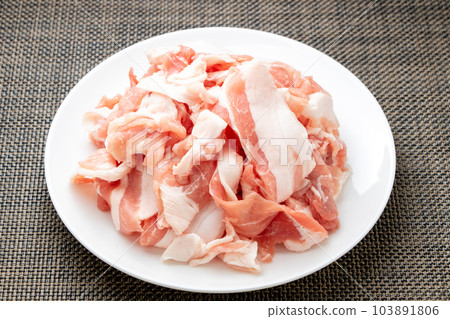 Minced pork. 103891806