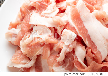 碎豬肉特寫鏡頭。 103891810