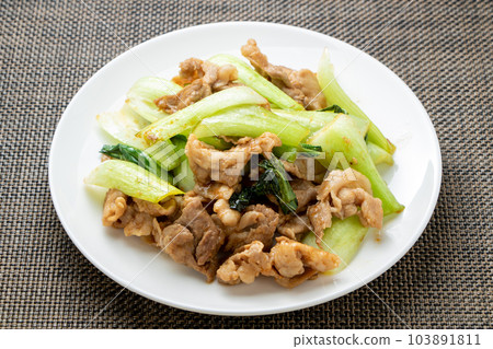 炒豬肉和白菜。 炒豬肉和白菜。 103891811