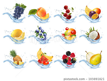 Set of fruits and vegetables in water splashes. Apricot, watermelon, cherry, raspberry, blackberry, coconut, pear, sweet melon, pineapple, strawberry in water splash and drops. Vector illustration. Set of fruits and vegetables in water splashes. Apricot, watermelon, cherry, raspberry, blackberry, coconut, pear, sweet melon, pineapple, strawberry in water splash and drops. Vector illustration. 103891821