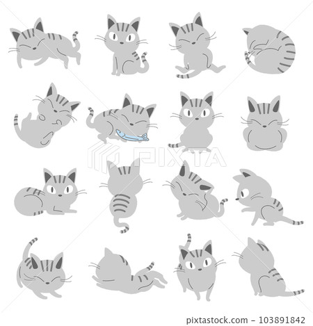 Mackerel tabby cat vector illustration set Mackerel tabby cat vector illustration set 103891842