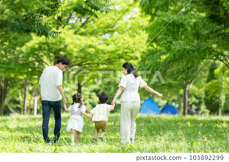 A family walking hand in hand A family walking hand in hand 103892299