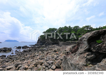 This is the beautiful coastal scenery of Seogwipo, Jeju Island. 103892340