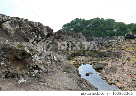 This is the beautiful coastal scenery of Seogwipo, Jeju Island. 103892366