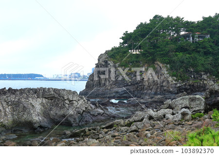 This is the beautiful coastal scenery of Seogwipo, Jeju Island. 103892370